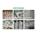 2018 First Grade Chinese normal white garlic factory wholesale price